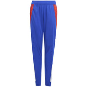 Pantalon Largo Adidas Tiro24