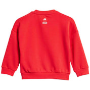 Chandal Adidas Jf3630