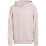 Sudadera Con Capucha Adidas Jf8745