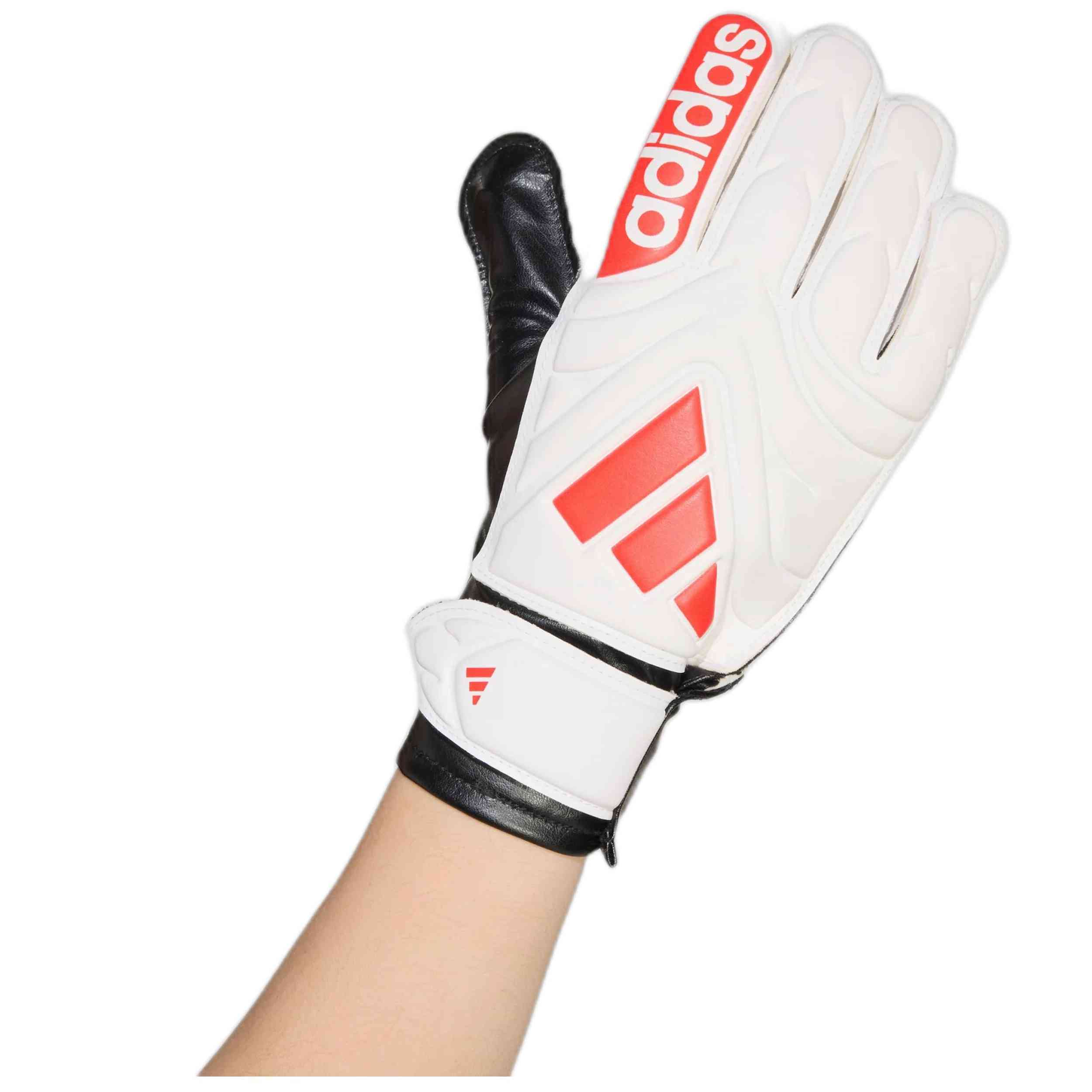 Imagen del producto con referencia JH3792