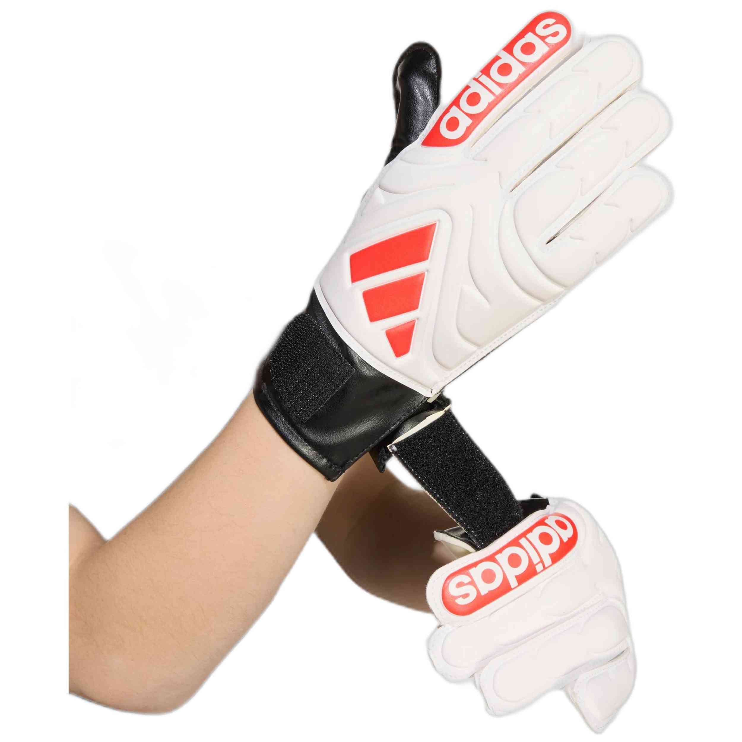 Imagen del producto con referencia JH3792