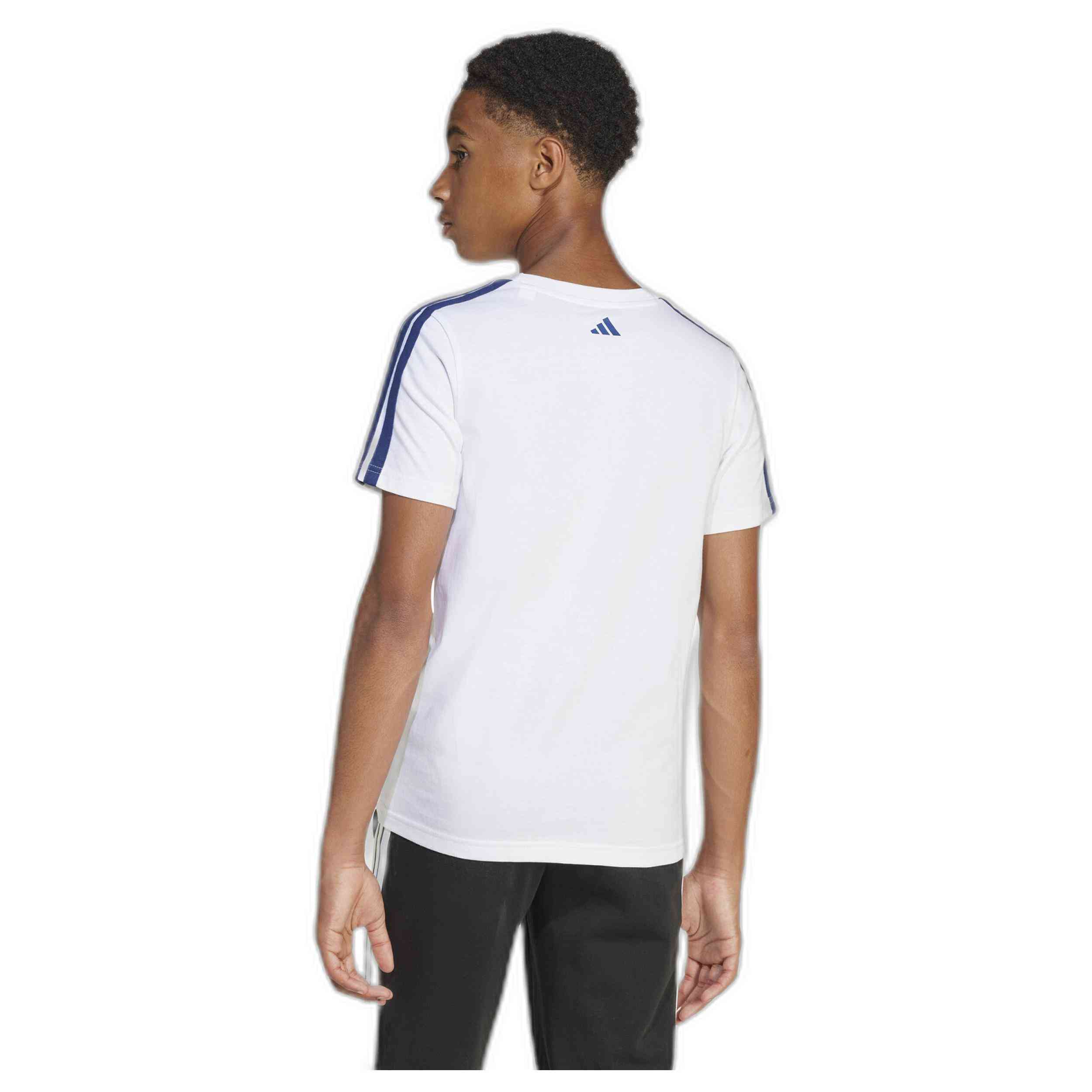 Camiseta De Manga Corta Adidas Codes Collegiate Graphic Tee Kids