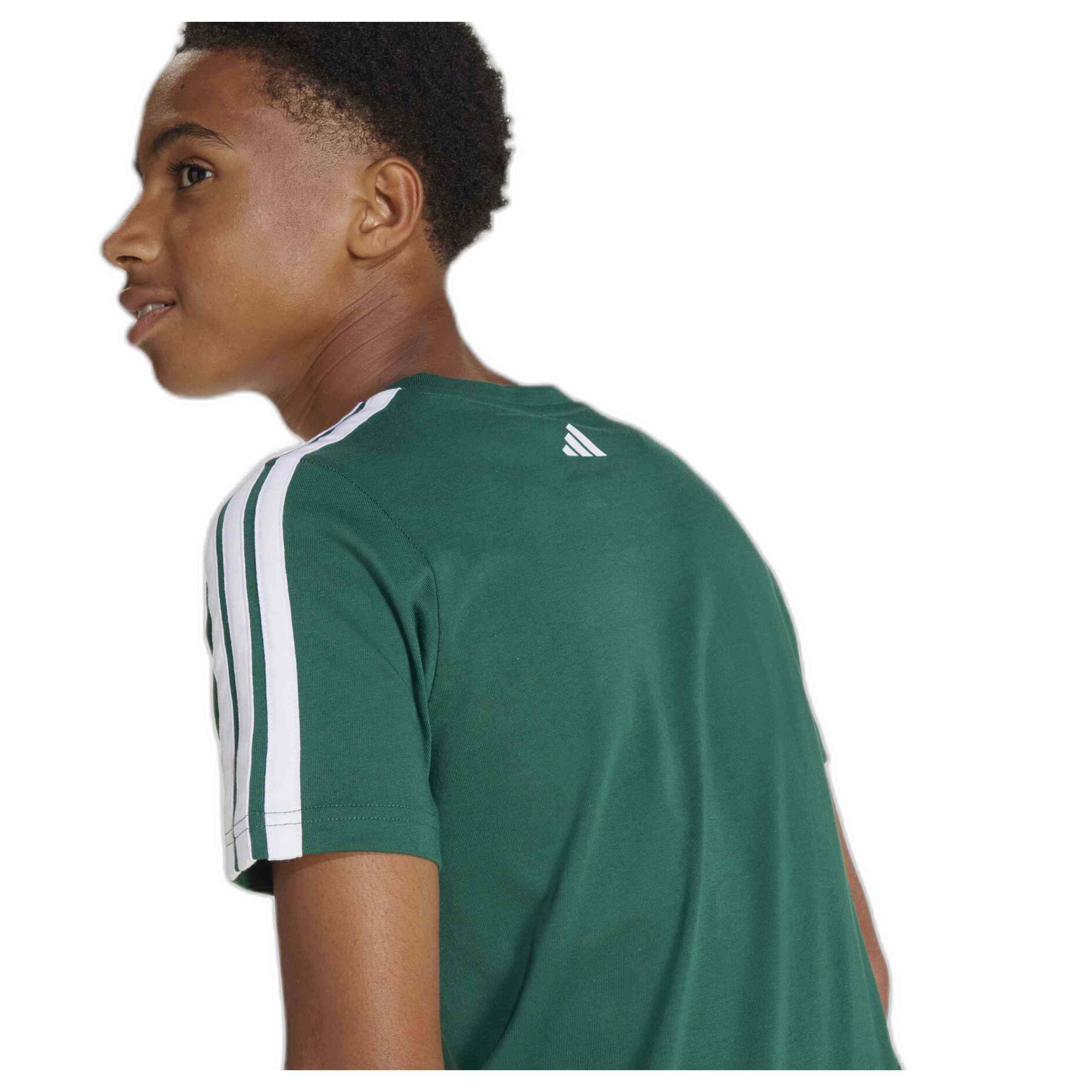 Camiseta De Manga Corta Adidas Codes Collegiate