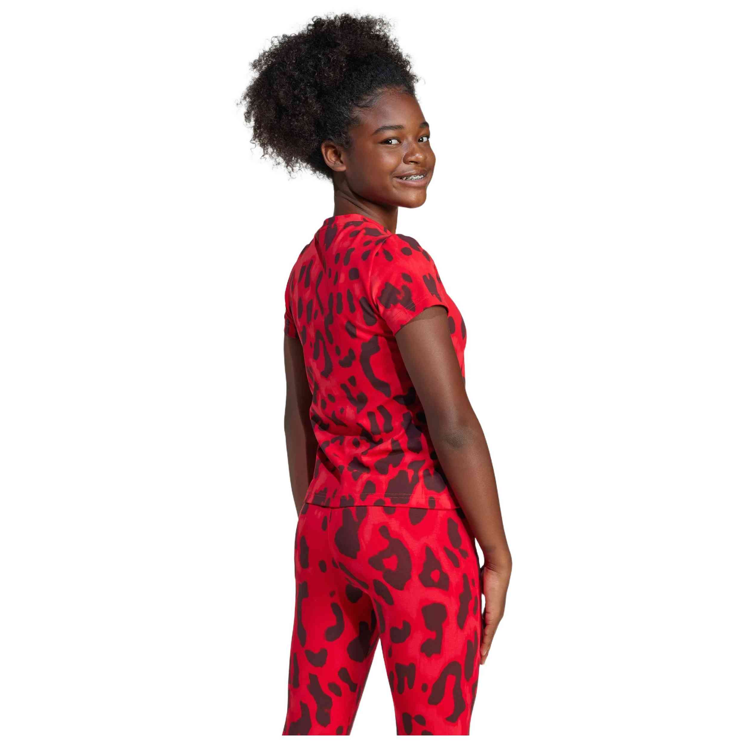 Imagen del producto con referencia JJ4794