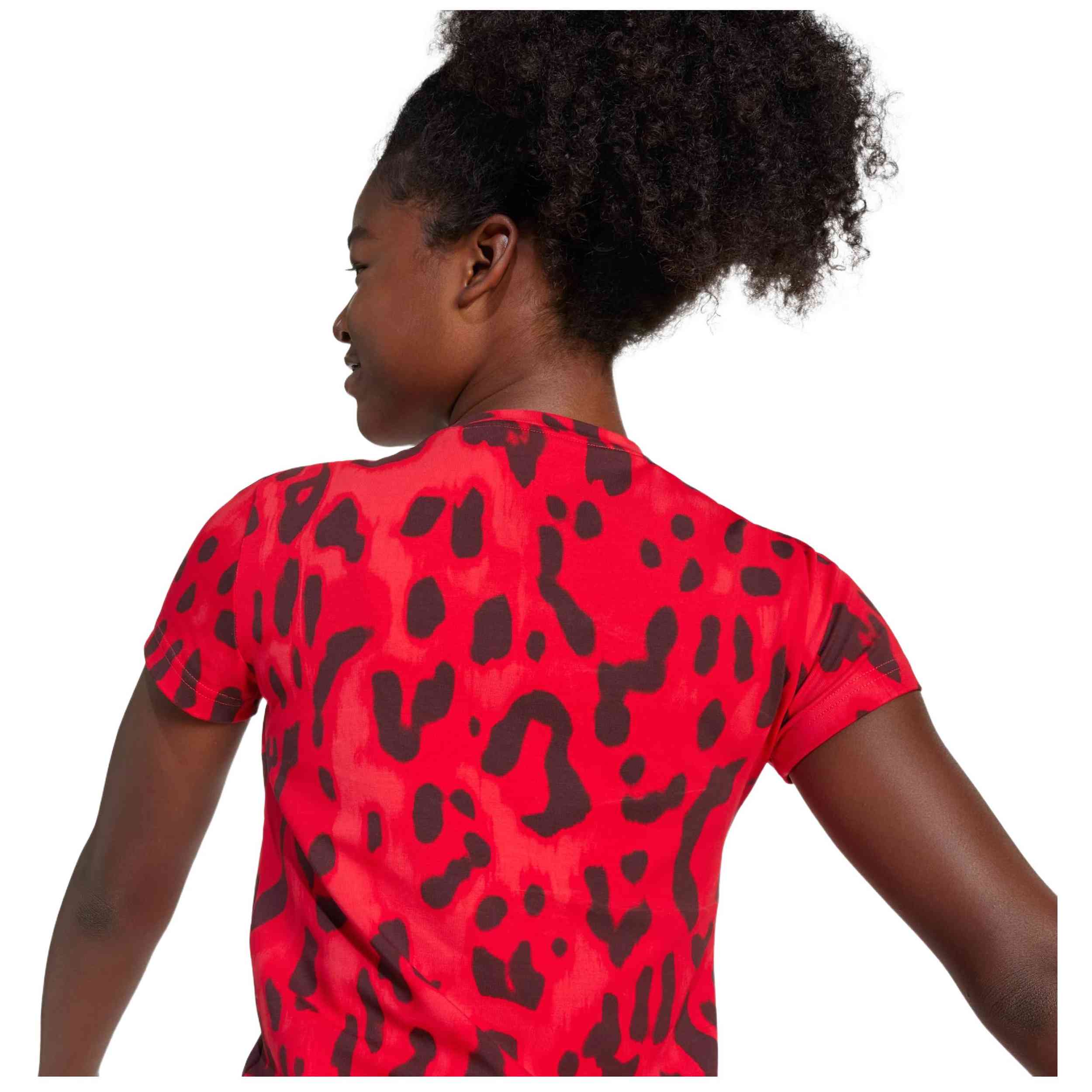 Imagen del producto con referencia JJ4794