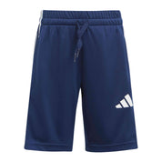 Conjunto Adidas Essentials Fun Se