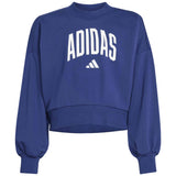 Sudadera Adidas