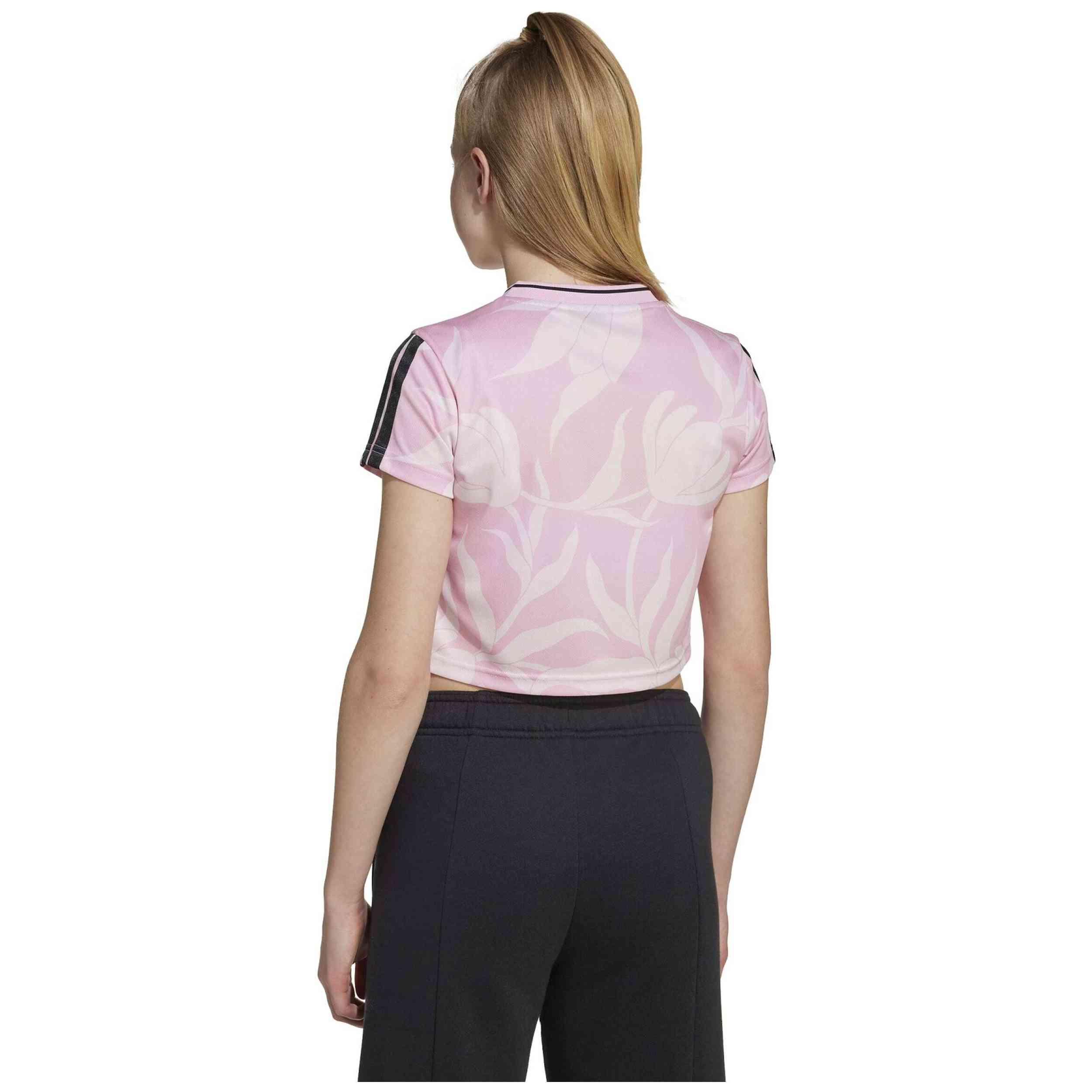 Imagen del producto con referencia JM1584