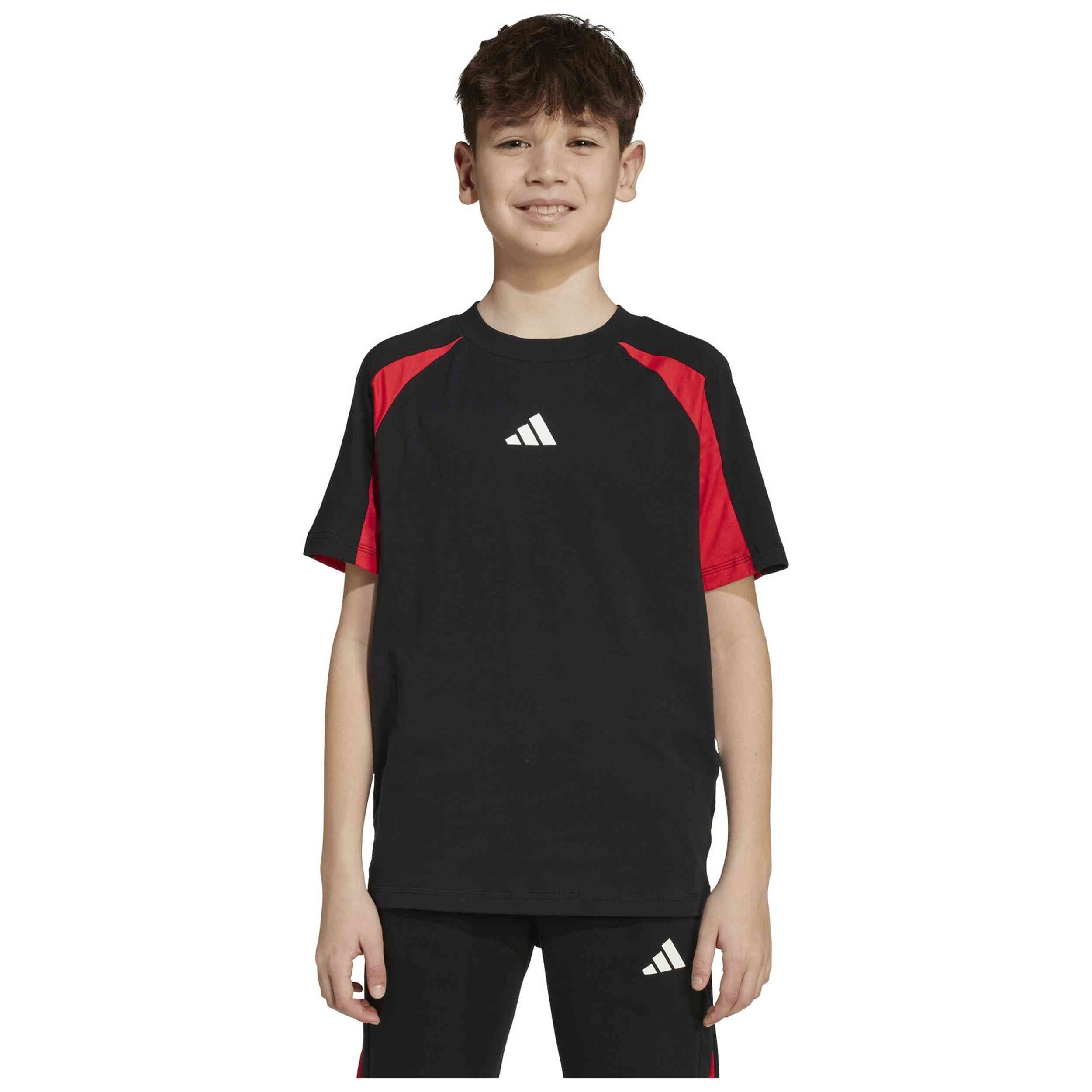 Imagen del producto con referencia JM1629