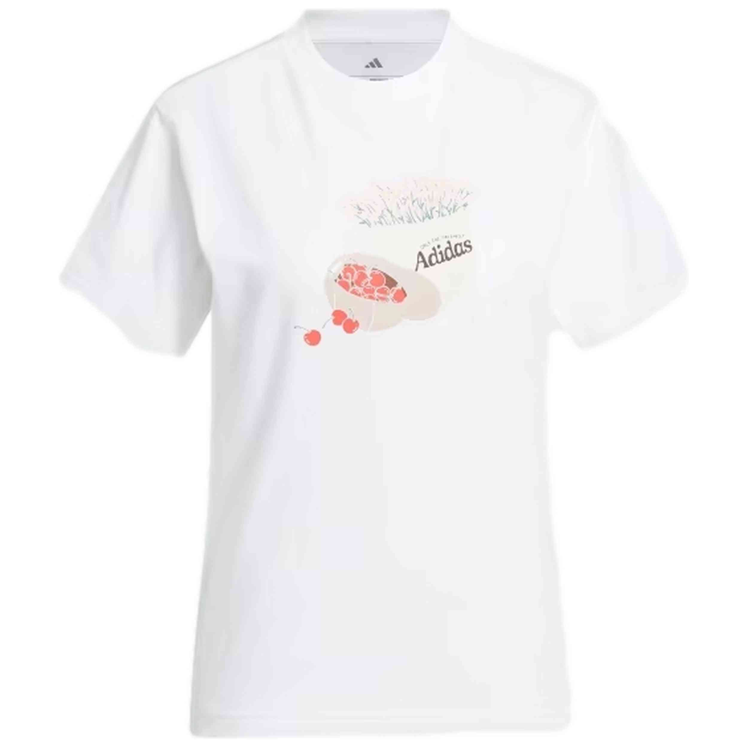 Imagen del producto con referencia JN2543