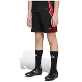 Bermudas Adidas