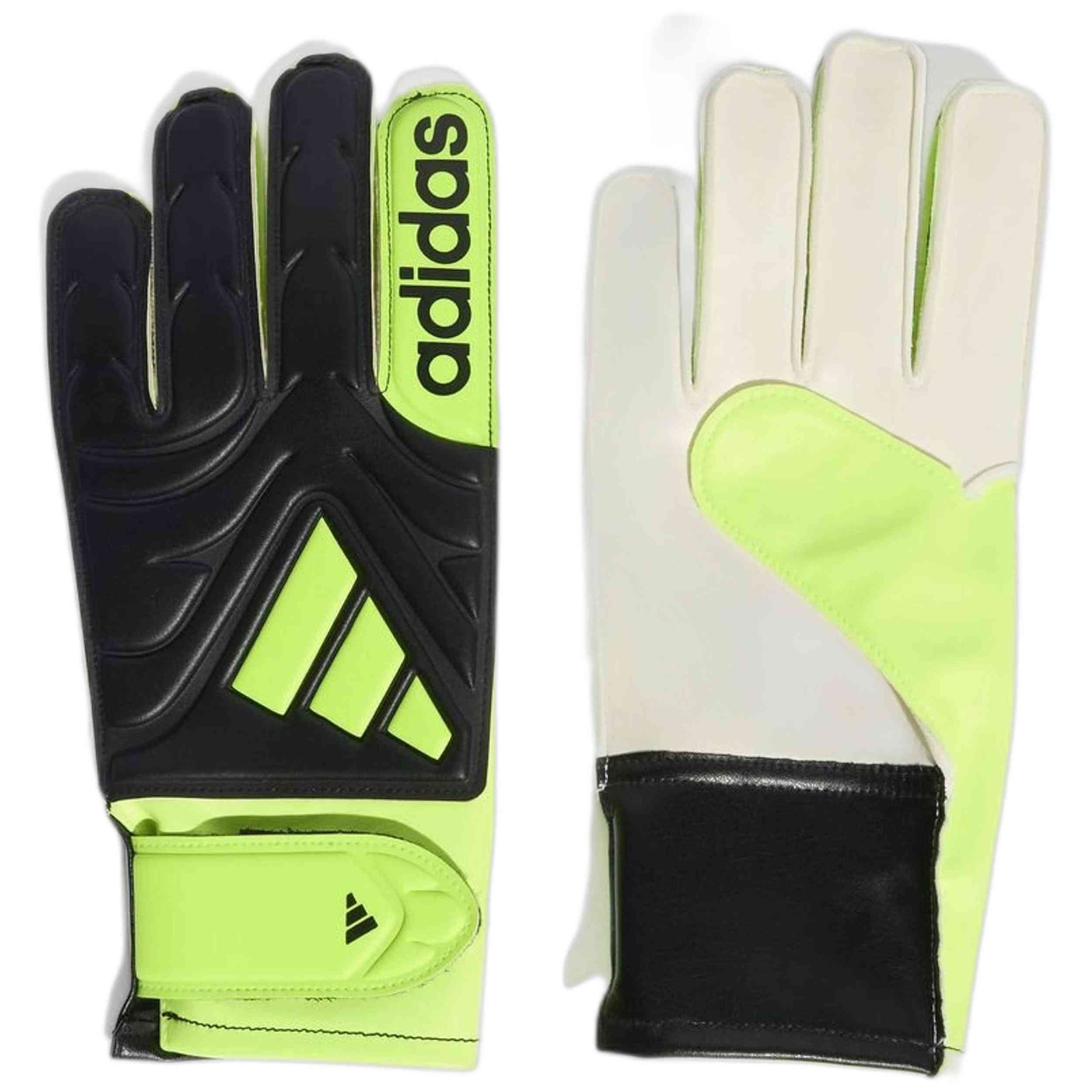 Imagen del producto con referencia JN5341