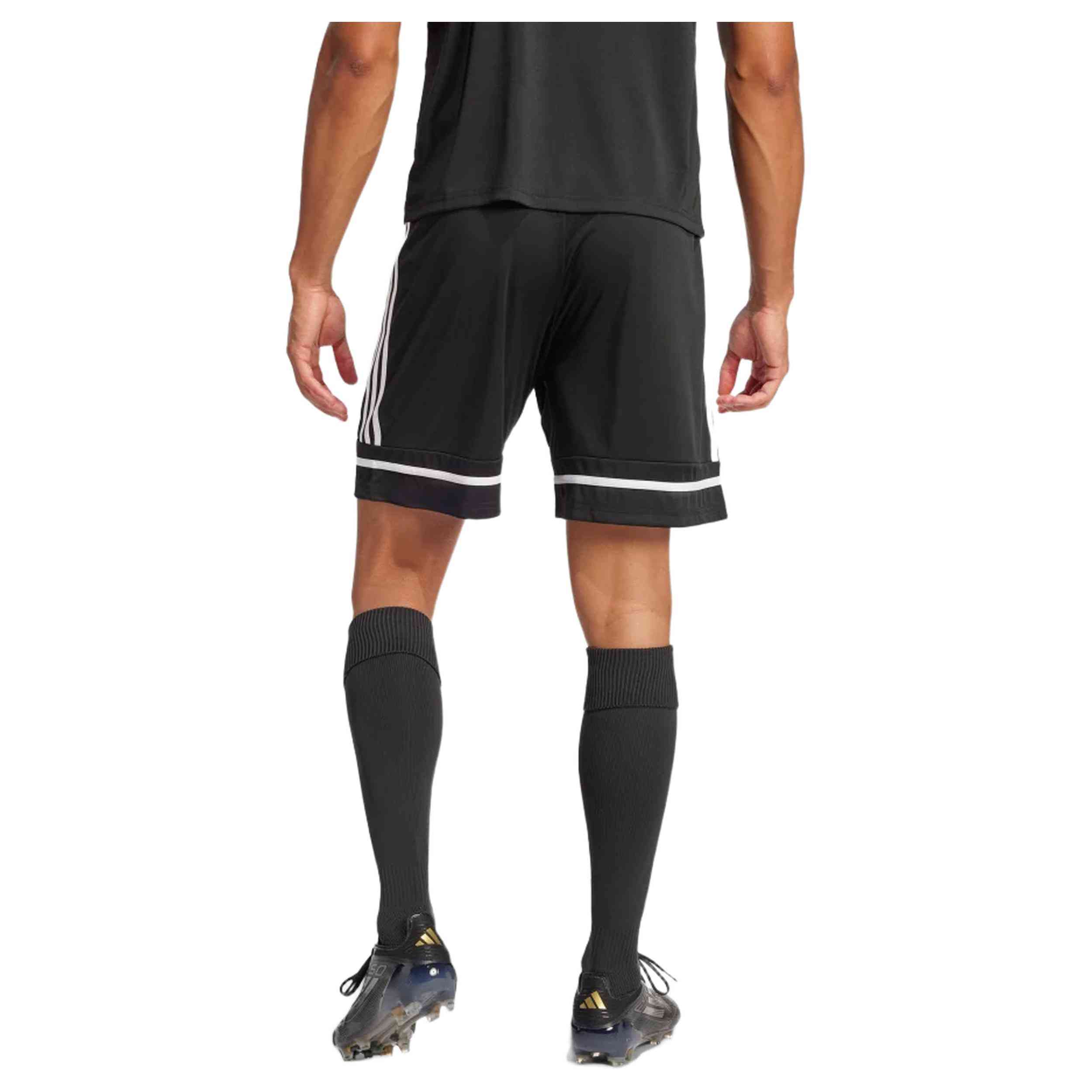 Pantalon Corto Adidas Squadra 25