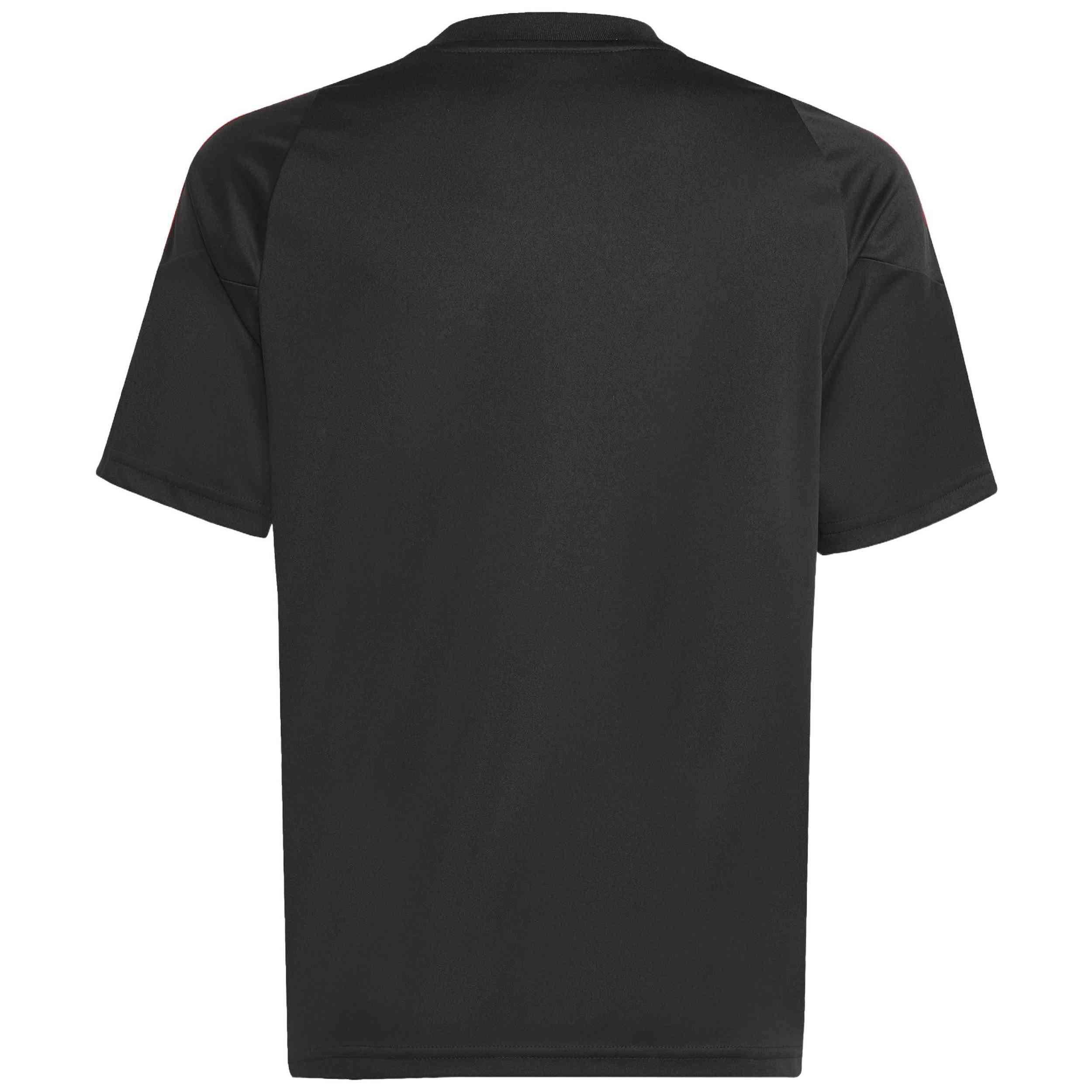 Imagen del producto con referencia JP2496