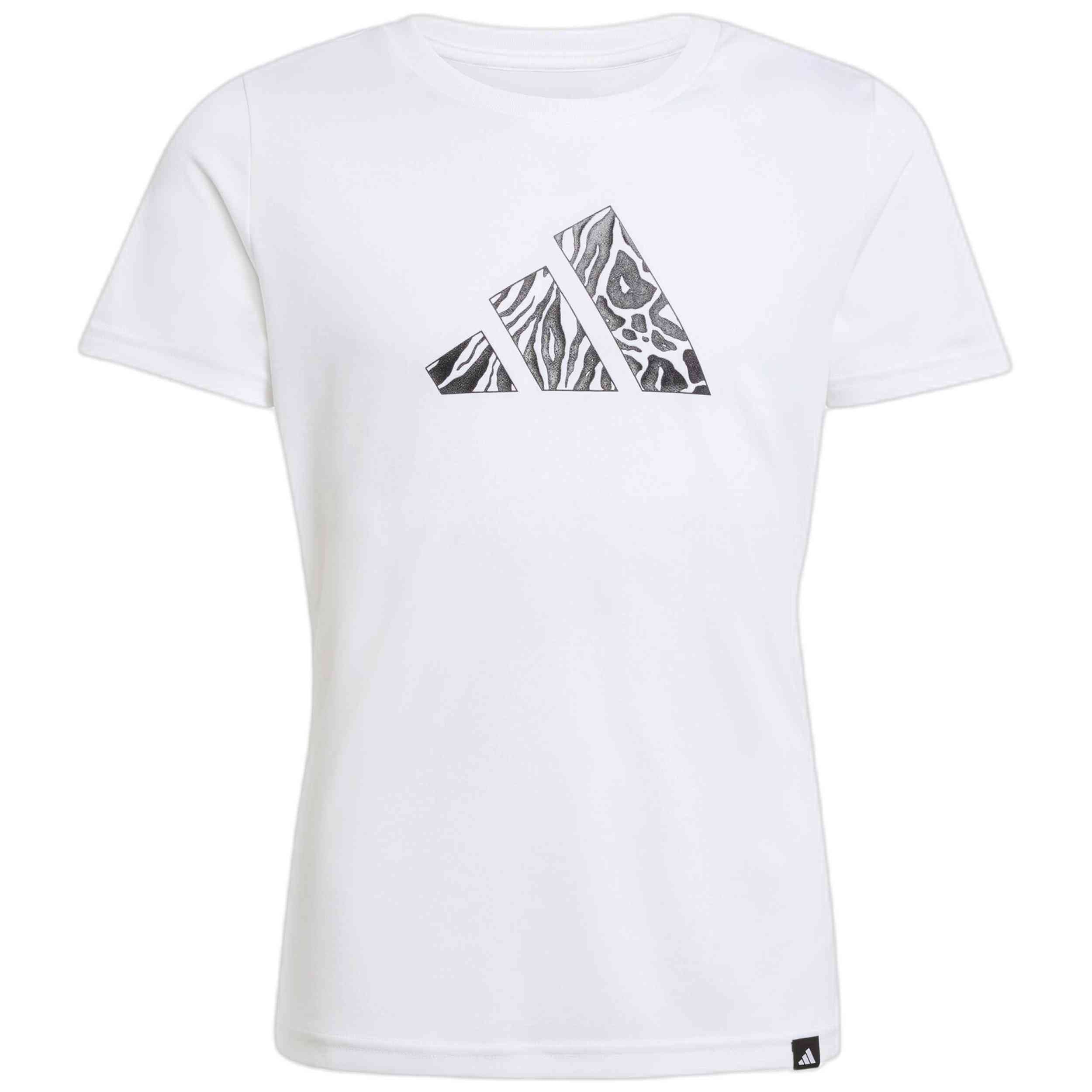 Imagen del producto con referencia JV5195