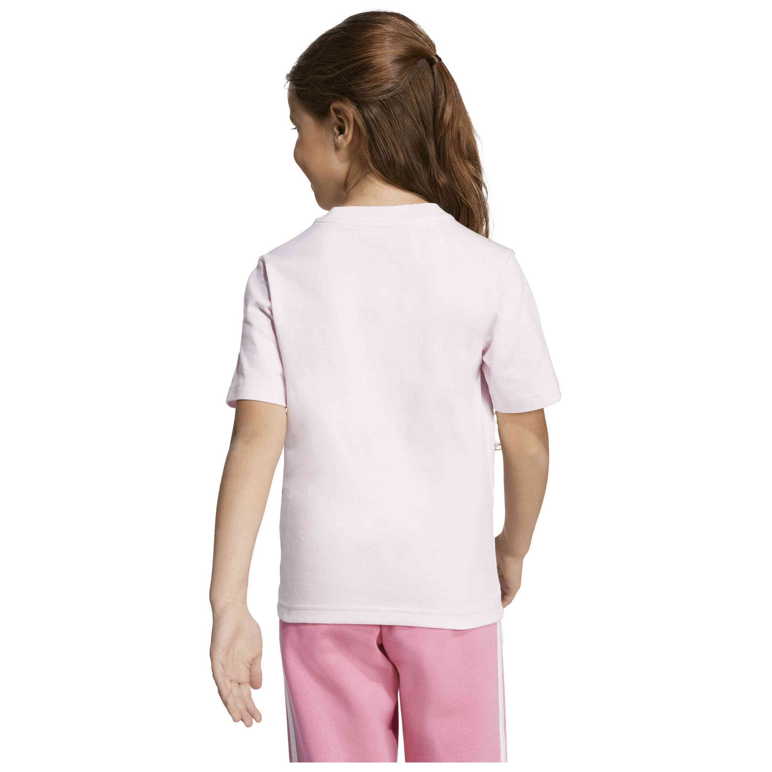 Imagen del producto con referencia JV5258