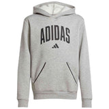 Sudadera Con Capucha Adidas