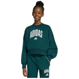Sudadera Adidas