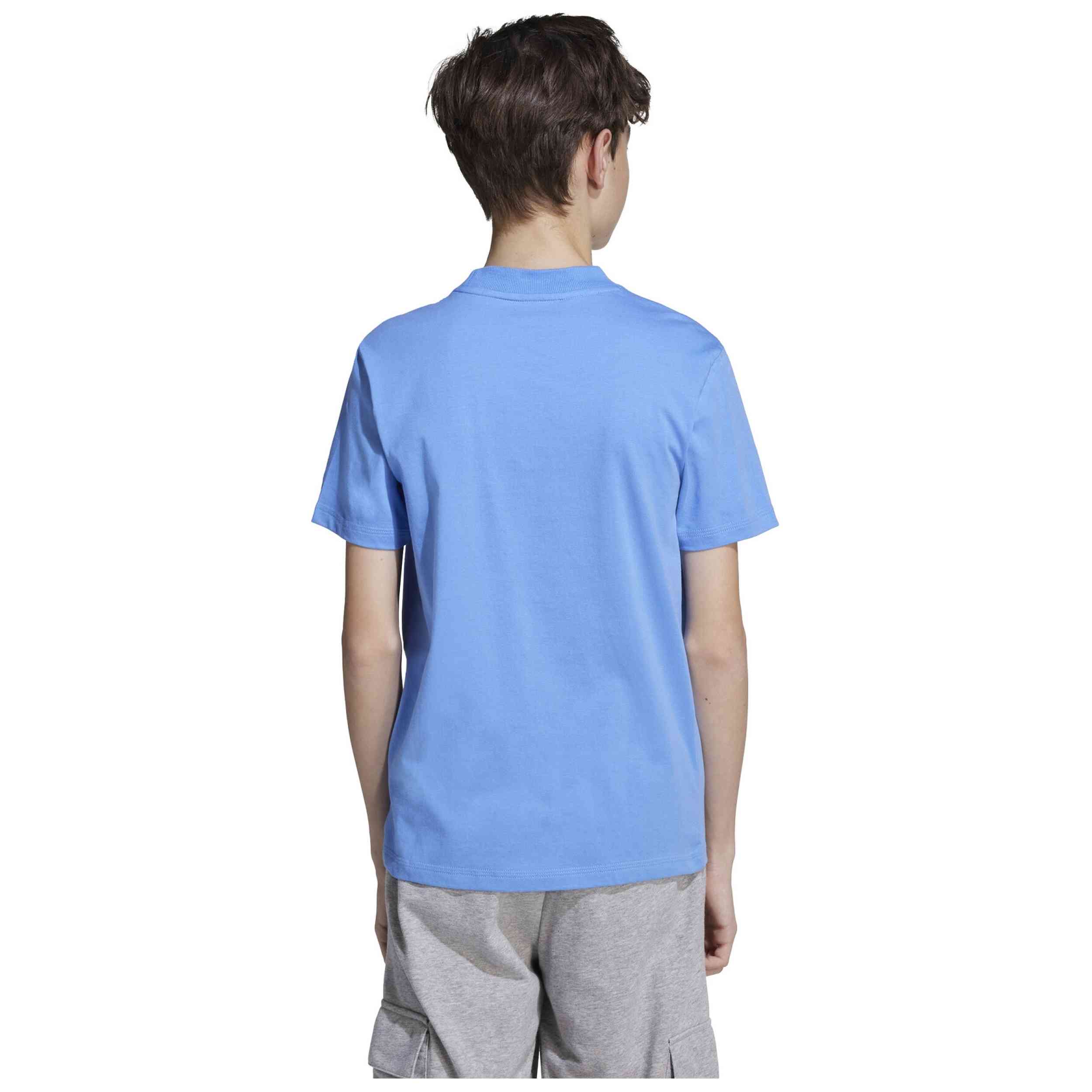 Imagen del producto con referencia JV7542