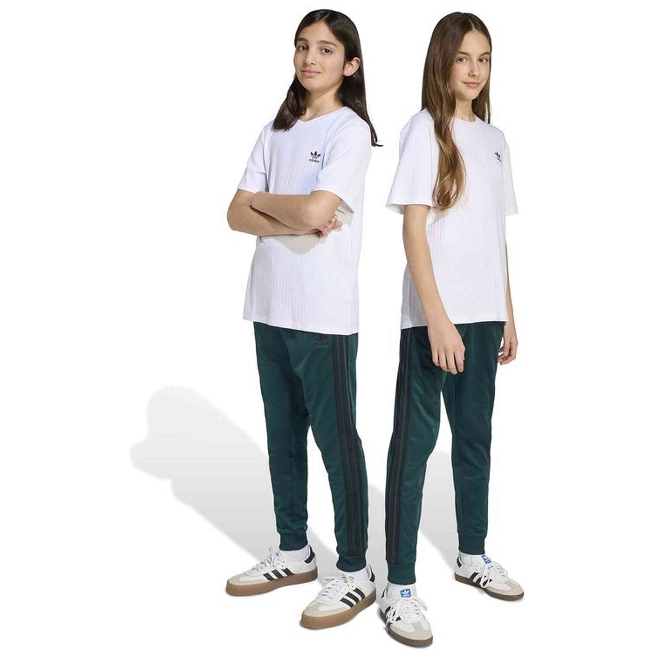 Imagen del producto con referencia JV8569