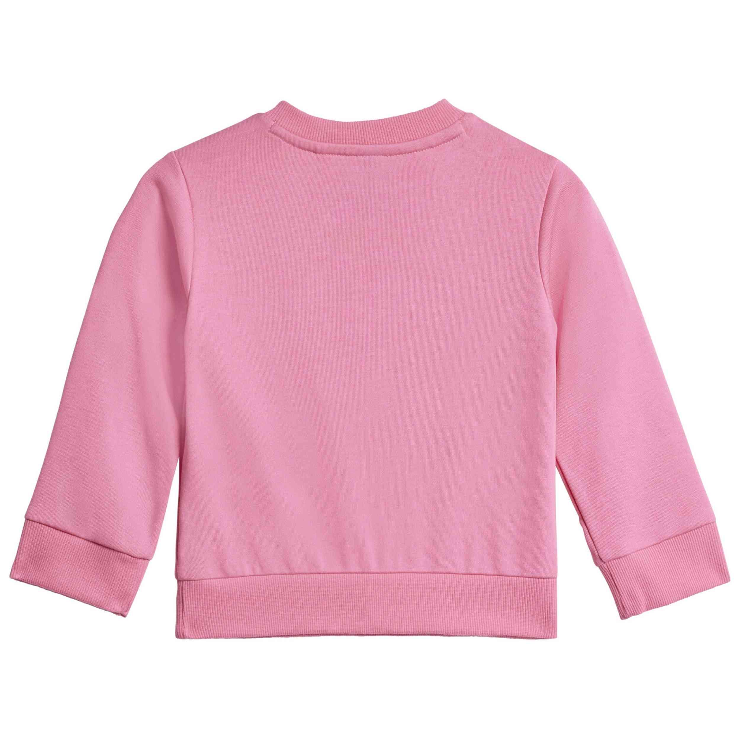 Imagen del producto con referencia JW2462