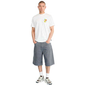 Imagen del producto con referencia JW2975