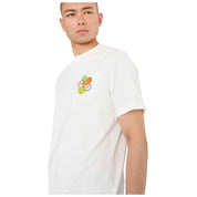 Imagen del producto con referencia JW2975