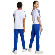 Imagen del producto con referencia JW5106