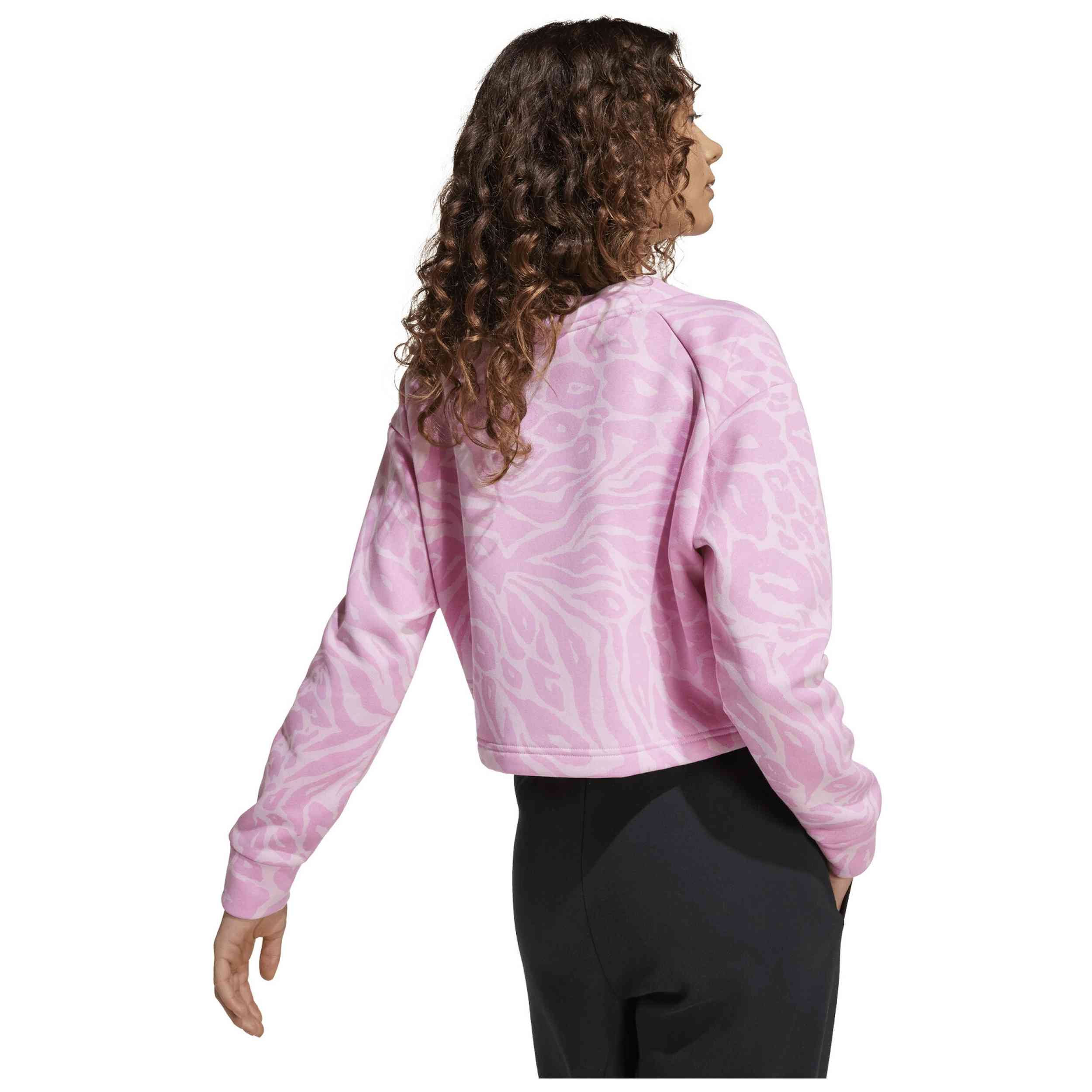 Imagen del producto con referencia JW7541