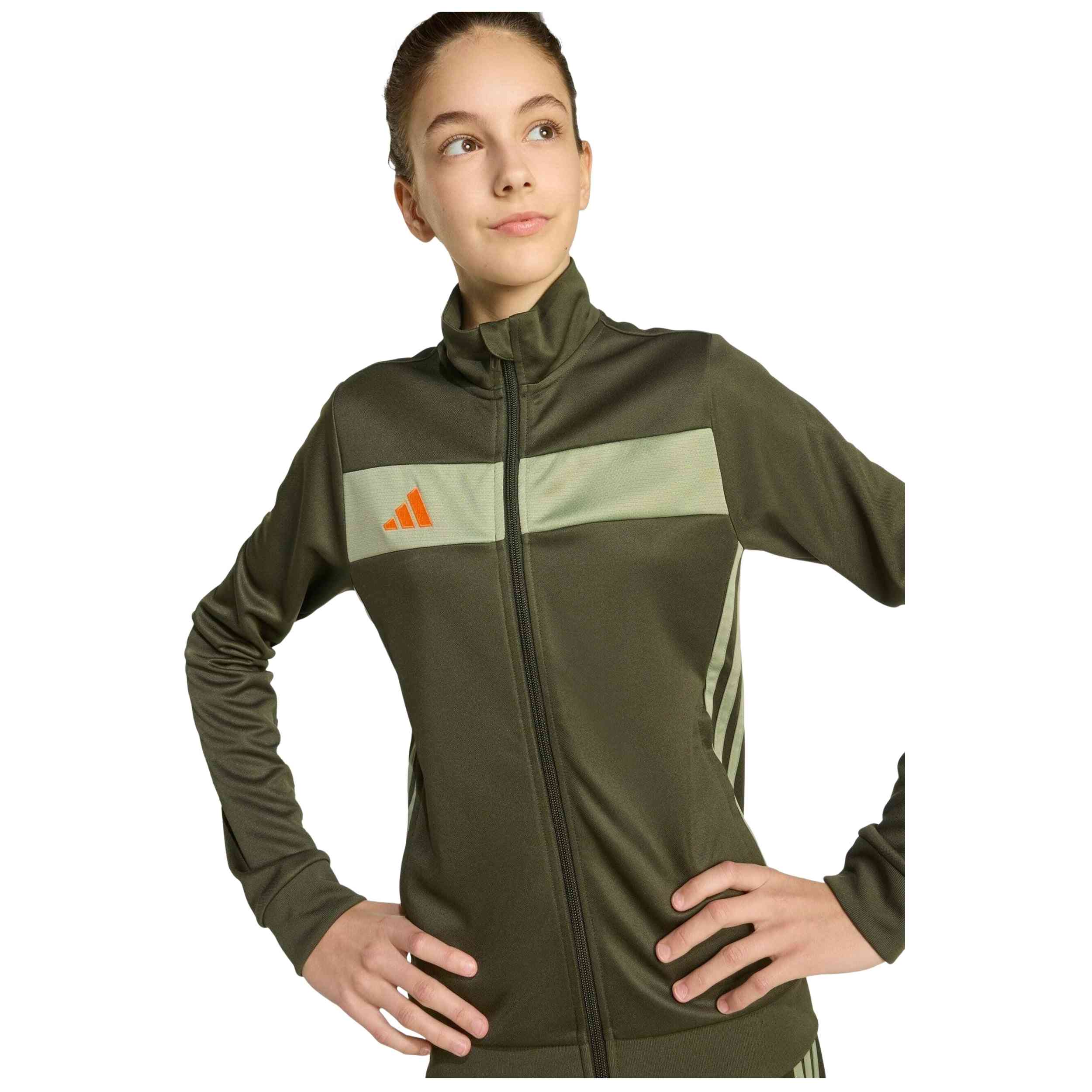 Imagen del producto con referencia JX2219