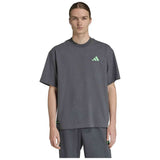 Camiseta De Manga Corta Adidas Camiseta Adidas Mercedes - Amg Petronas Formula One Team Premium Manga Corta Gris Azul