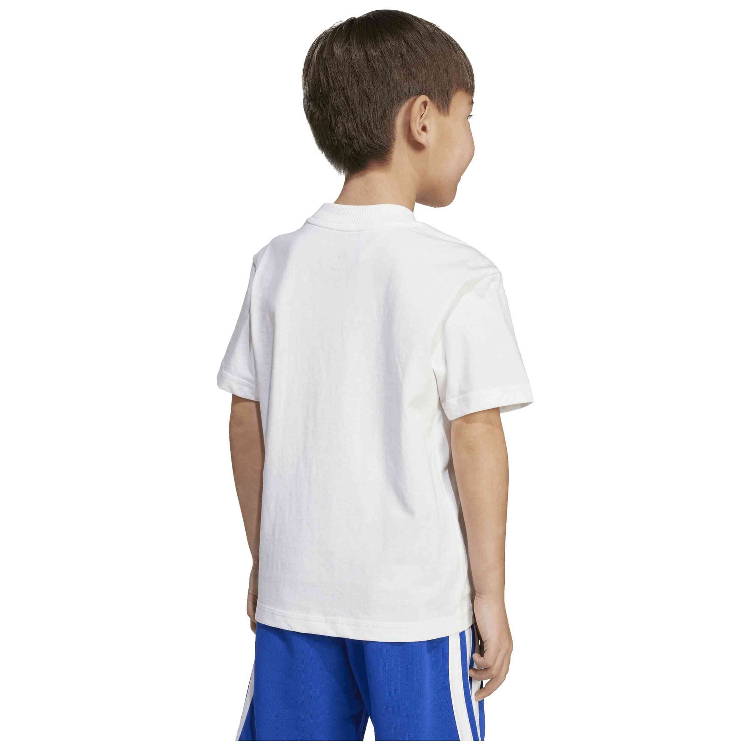 Imagen del producto con referencia JY0302