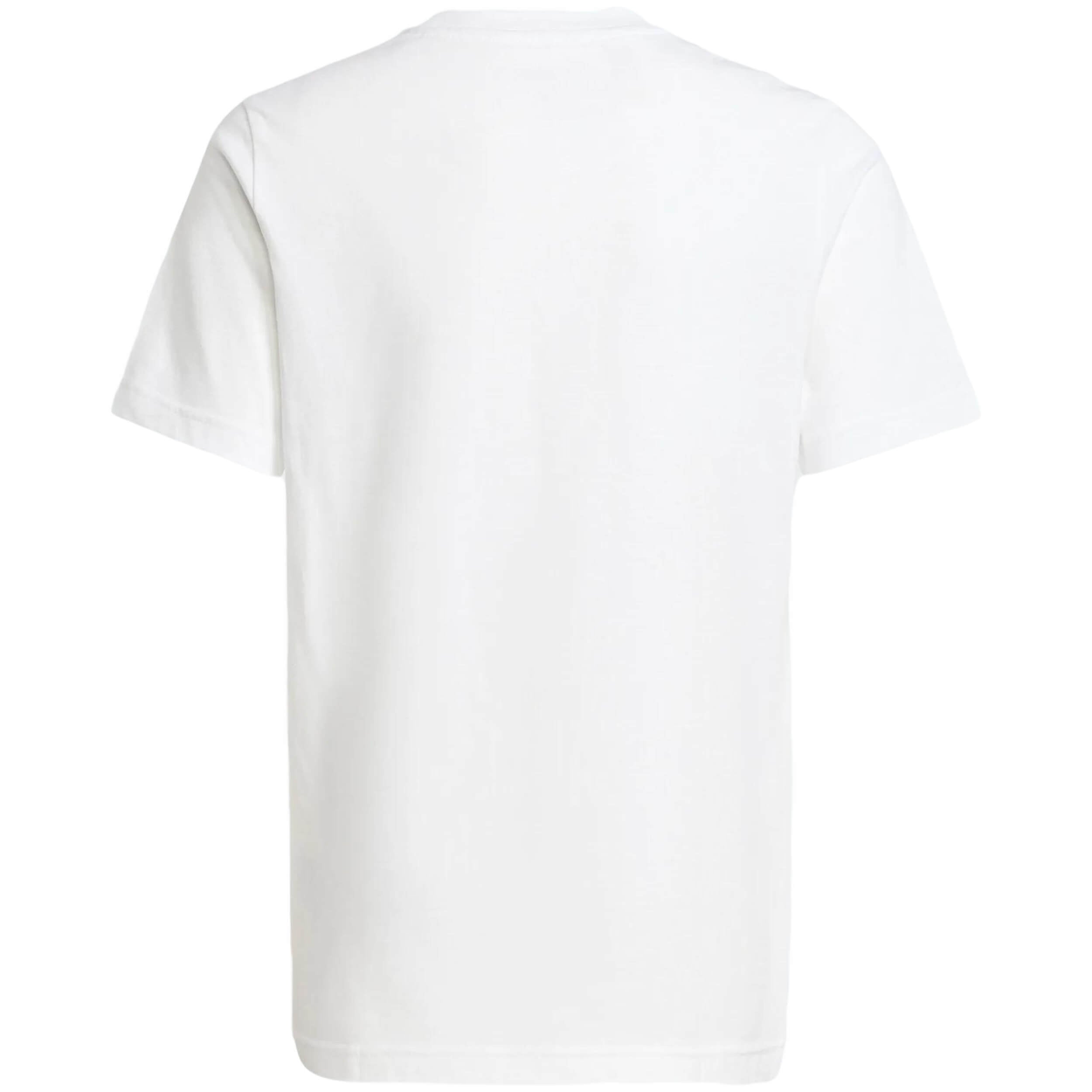 Imagen del producto con referencia JY3501