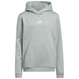 Sudadera Con Capucha Adidas Juniors Climawarm Graphic Hoodie "Wonder Sage"