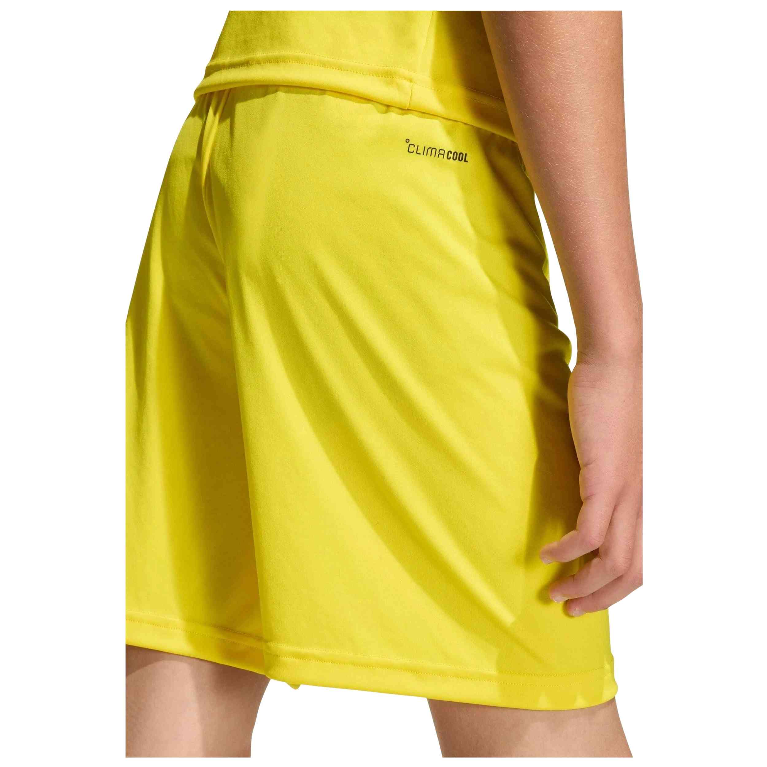 Imagen del producto con referencia JZ6525