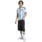 Imagen del producto con referencia KA8119