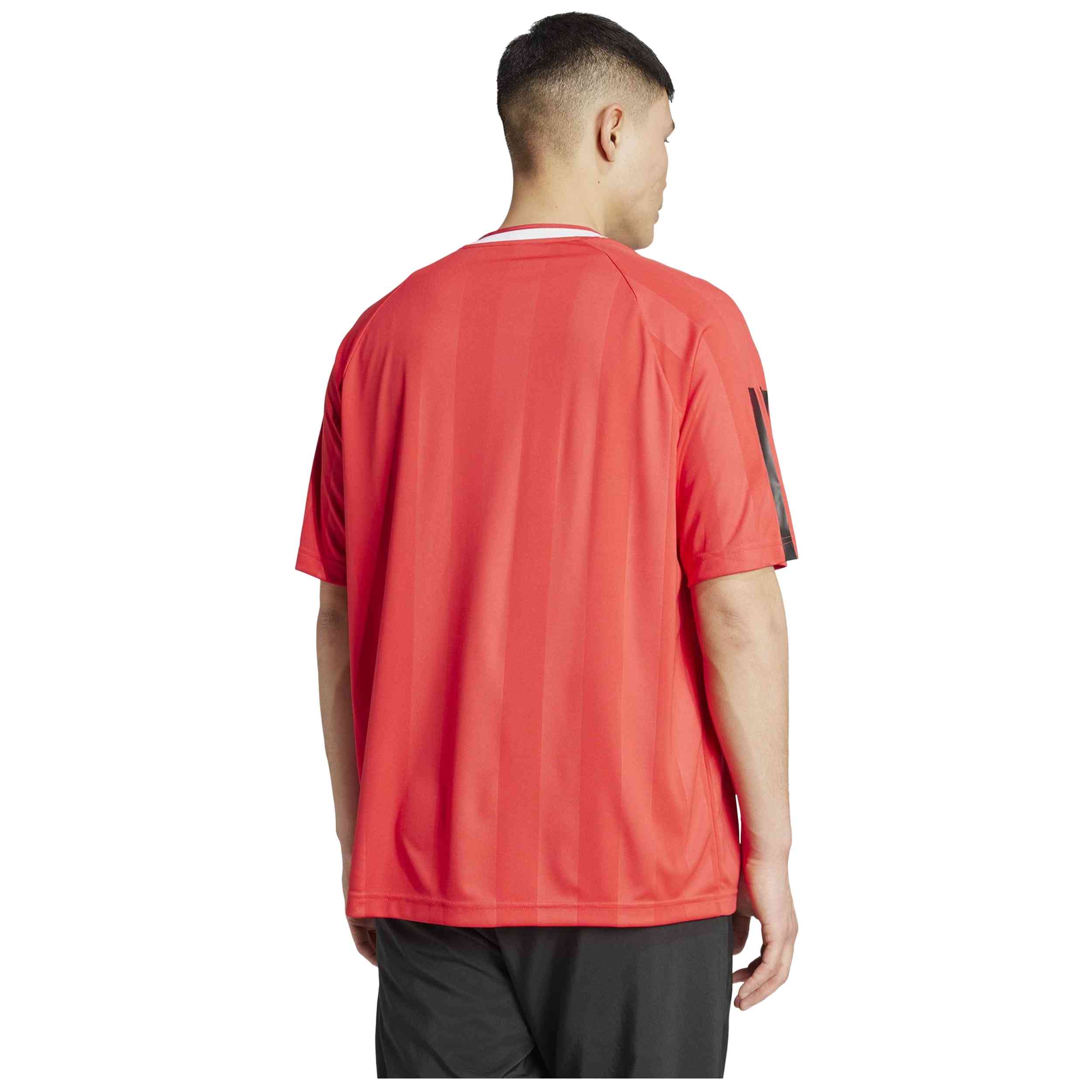 Imagen del producto con referencia KB5569