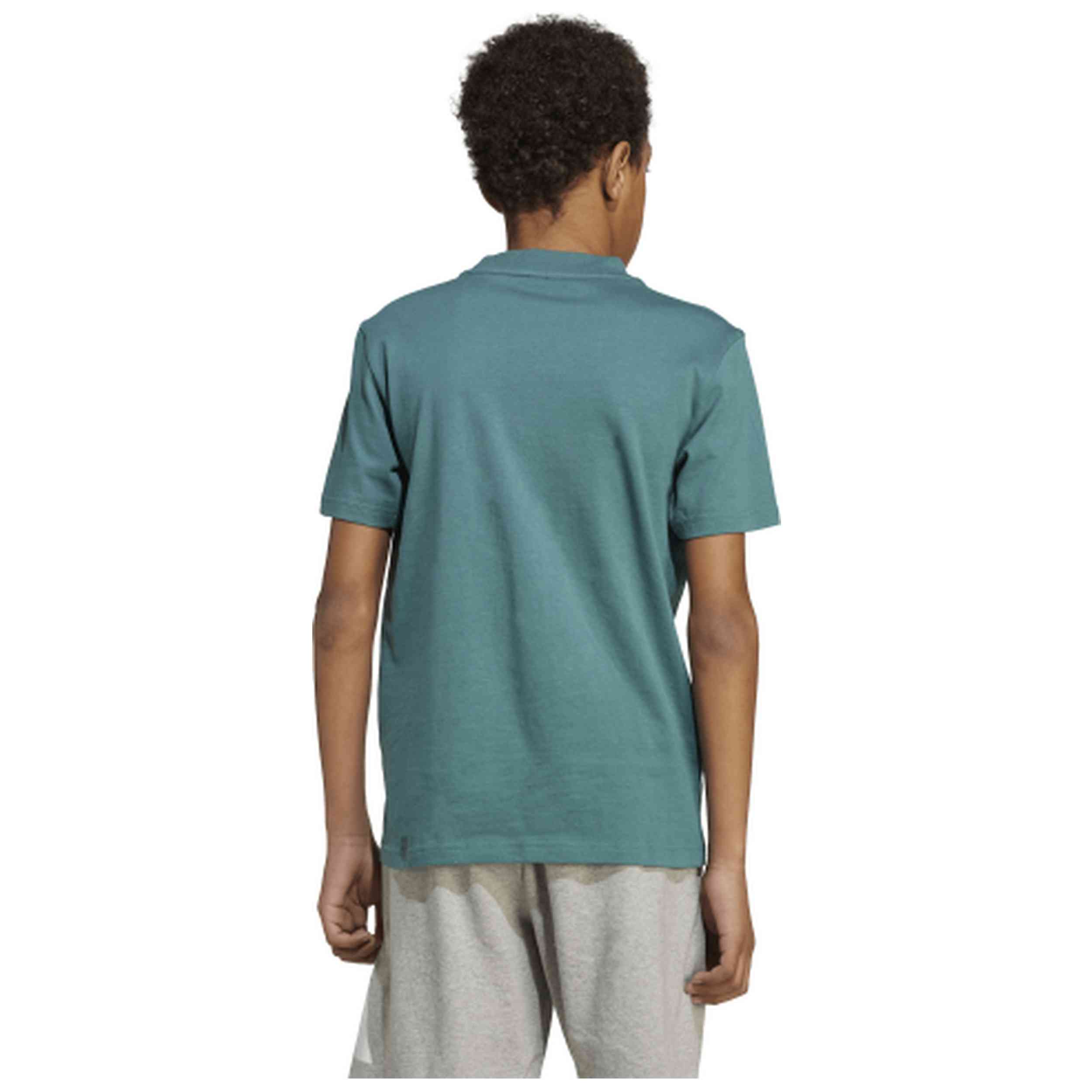 Imagen del producto con referencia KC5383