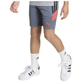 Bermudas Adidas