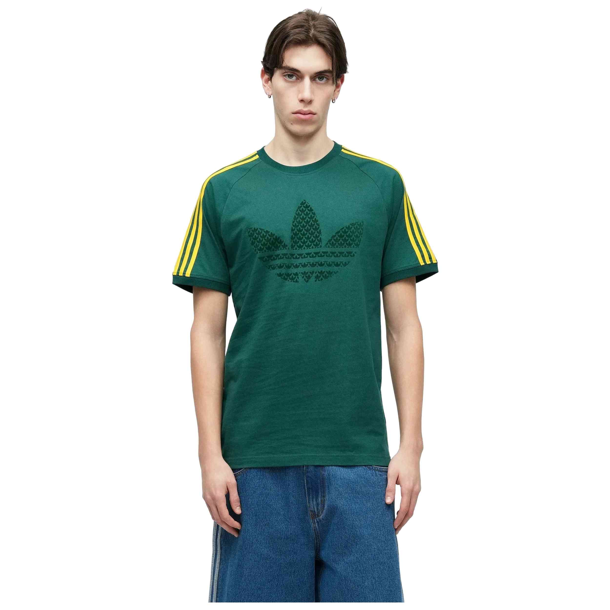 Imagen del producto con referencia KD1359.2XL