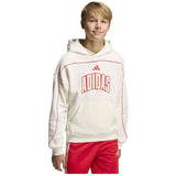 Sudadera Con Capucha Adidas J Std Hd