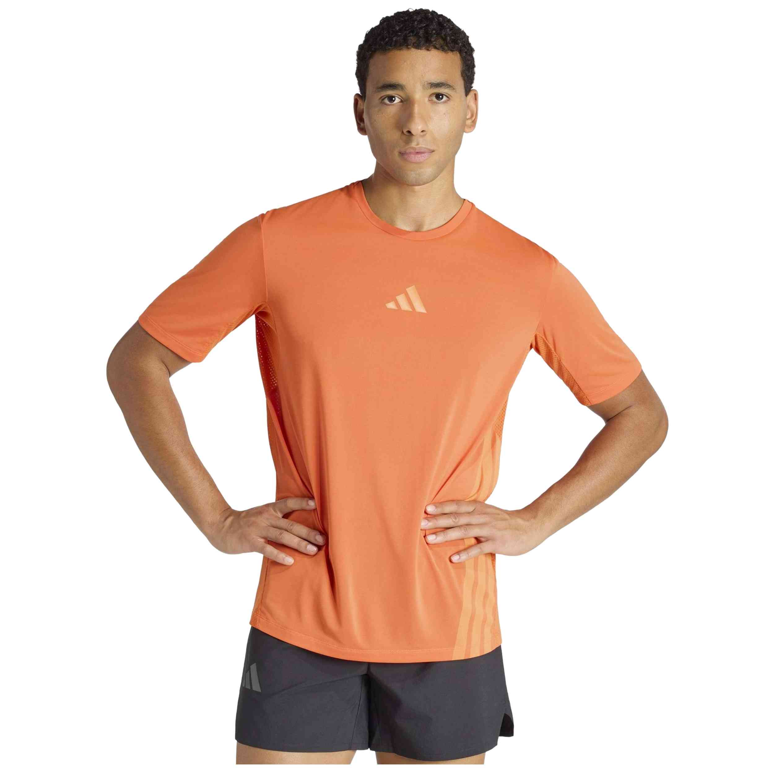 Imagen del producto con referencia KD4844
