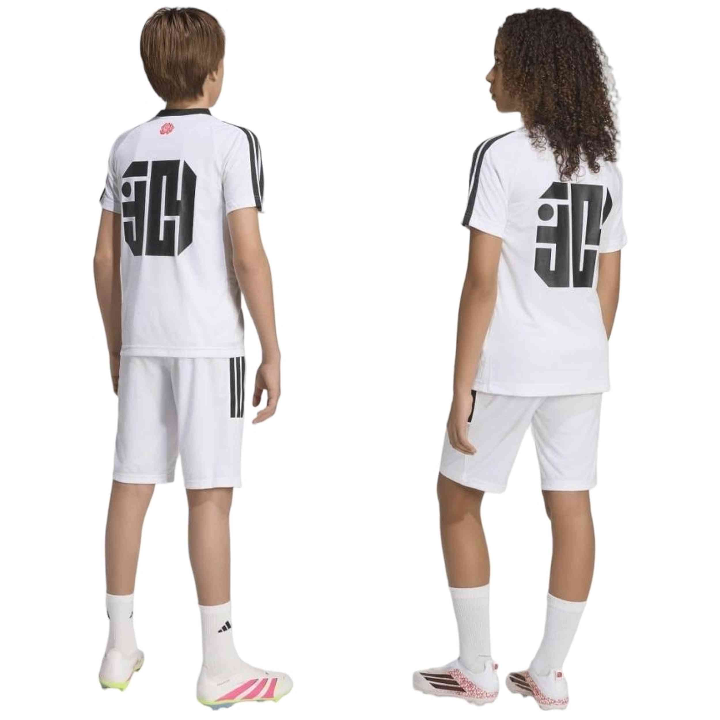 Imagen del producto con referencia KD6434