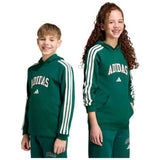 Sudadera Adidas Sudadera Adidas Codes Collegiate Graphic "Green"