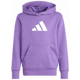 Sudadera Con Capucha Adidas Hoodie "Active Purple / Ice Grey / Gold Metallic"