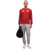 Sudadera Adidas Liverpool Fc Dna "Active Maroon"