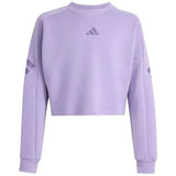 Sudadera Adidas