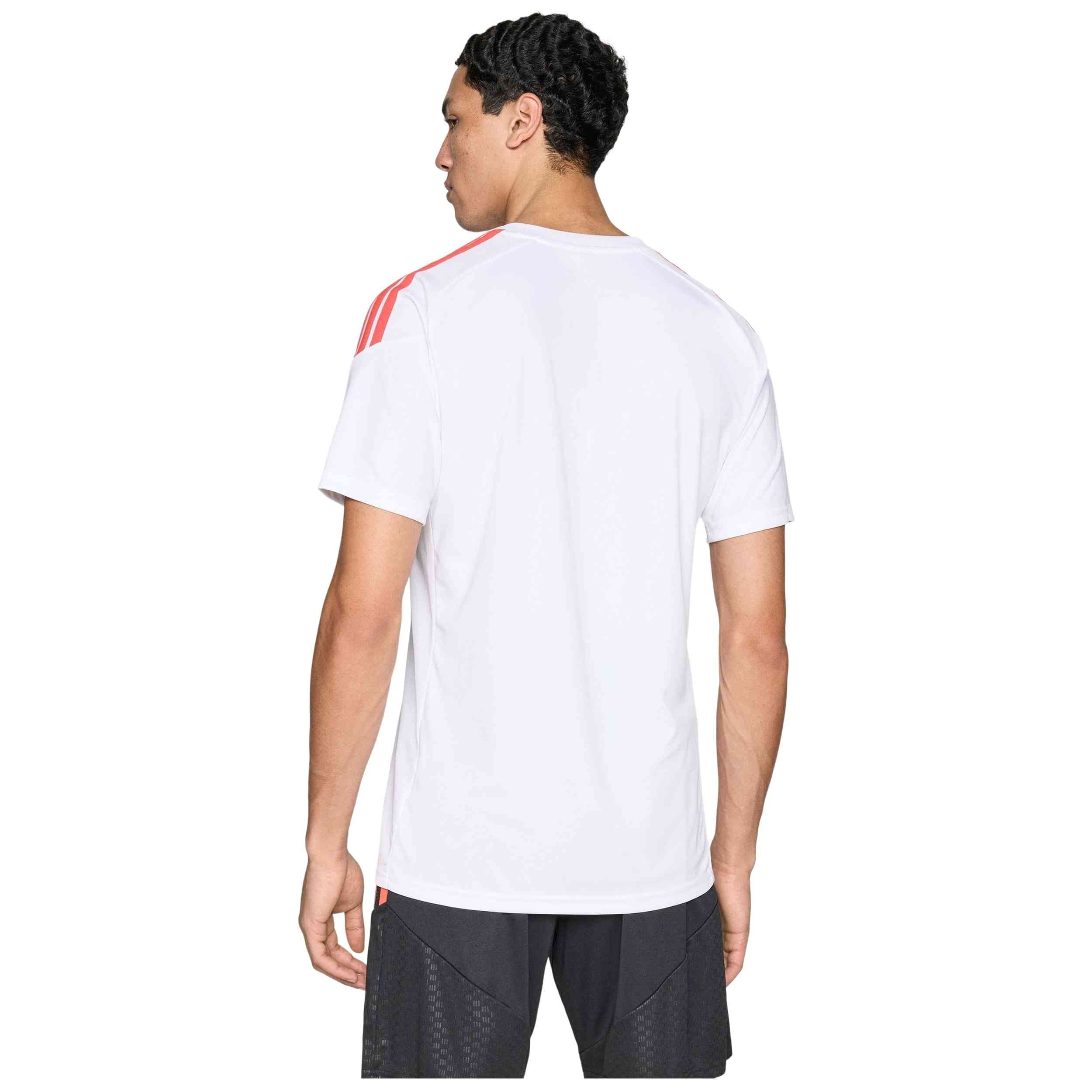 Imagen del producto con referencia KR0367