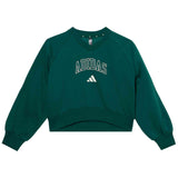 Sudadera Adidas Seasonals Collegiate Typography