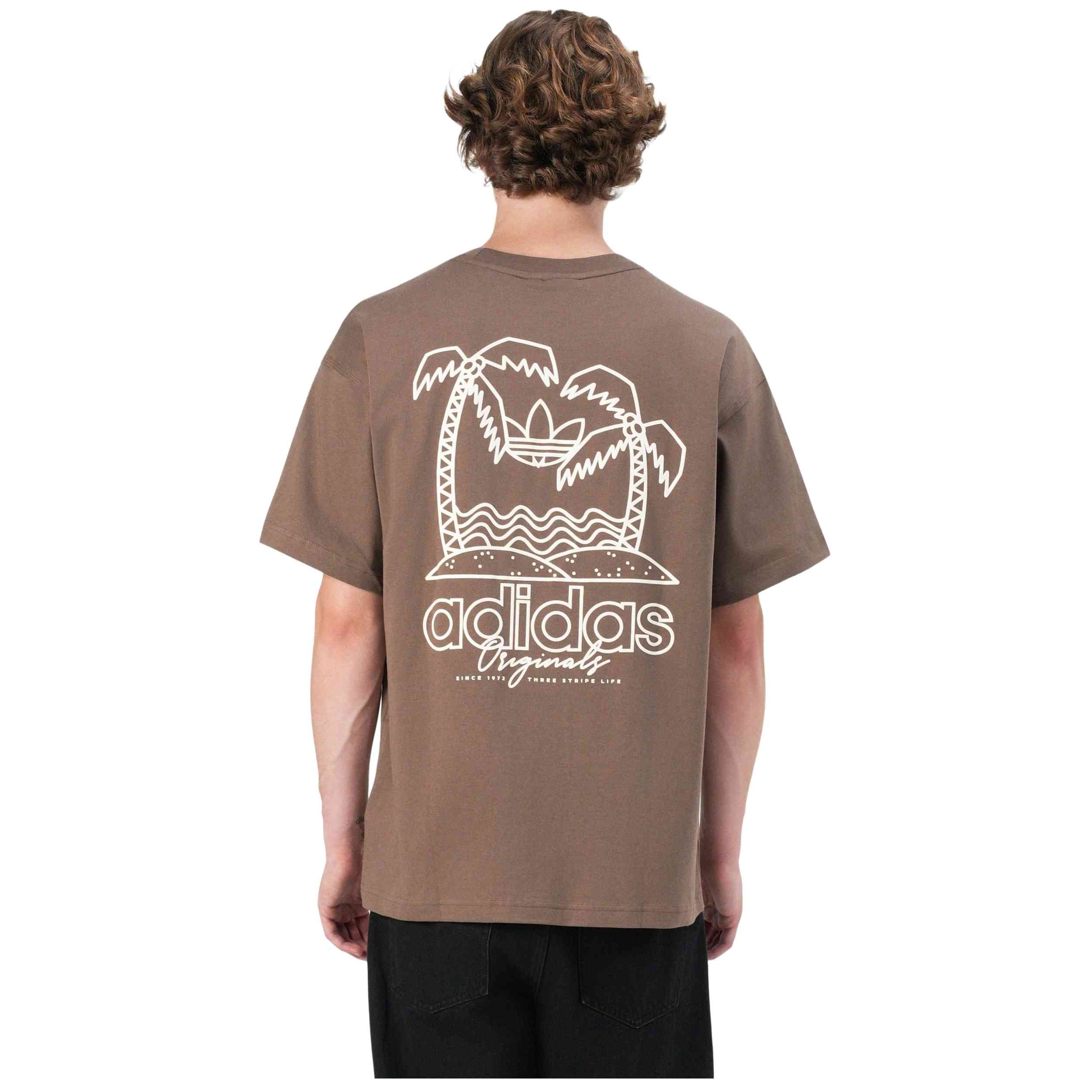 Imagen del producto con referencia KS8483